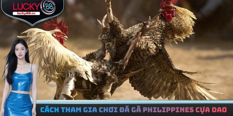 Cách tham gia chơi đá gà Philippines cựa dao