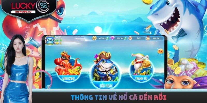 Thông tin về nổ cá đến rồi